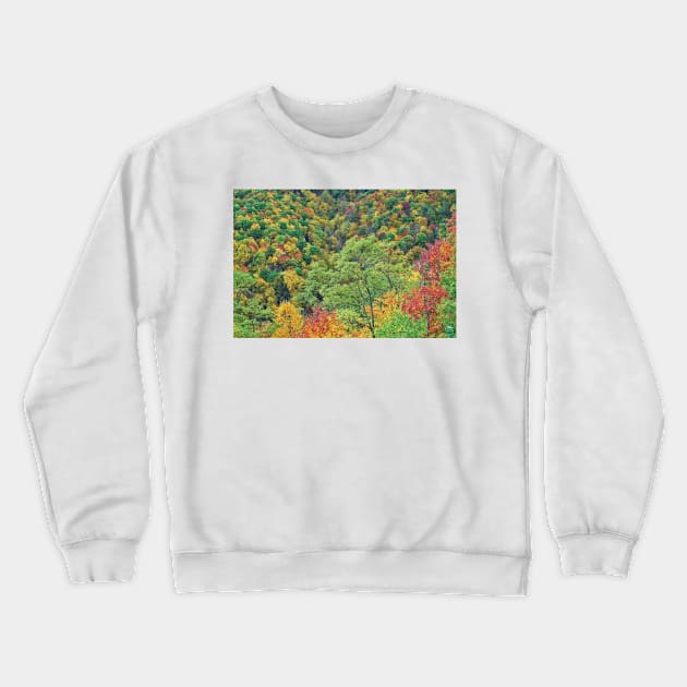 Autumn Forest Steestachee Bald Overlook Blue Ridge Parkway Crewneck Sweatshirt by AinisticGina